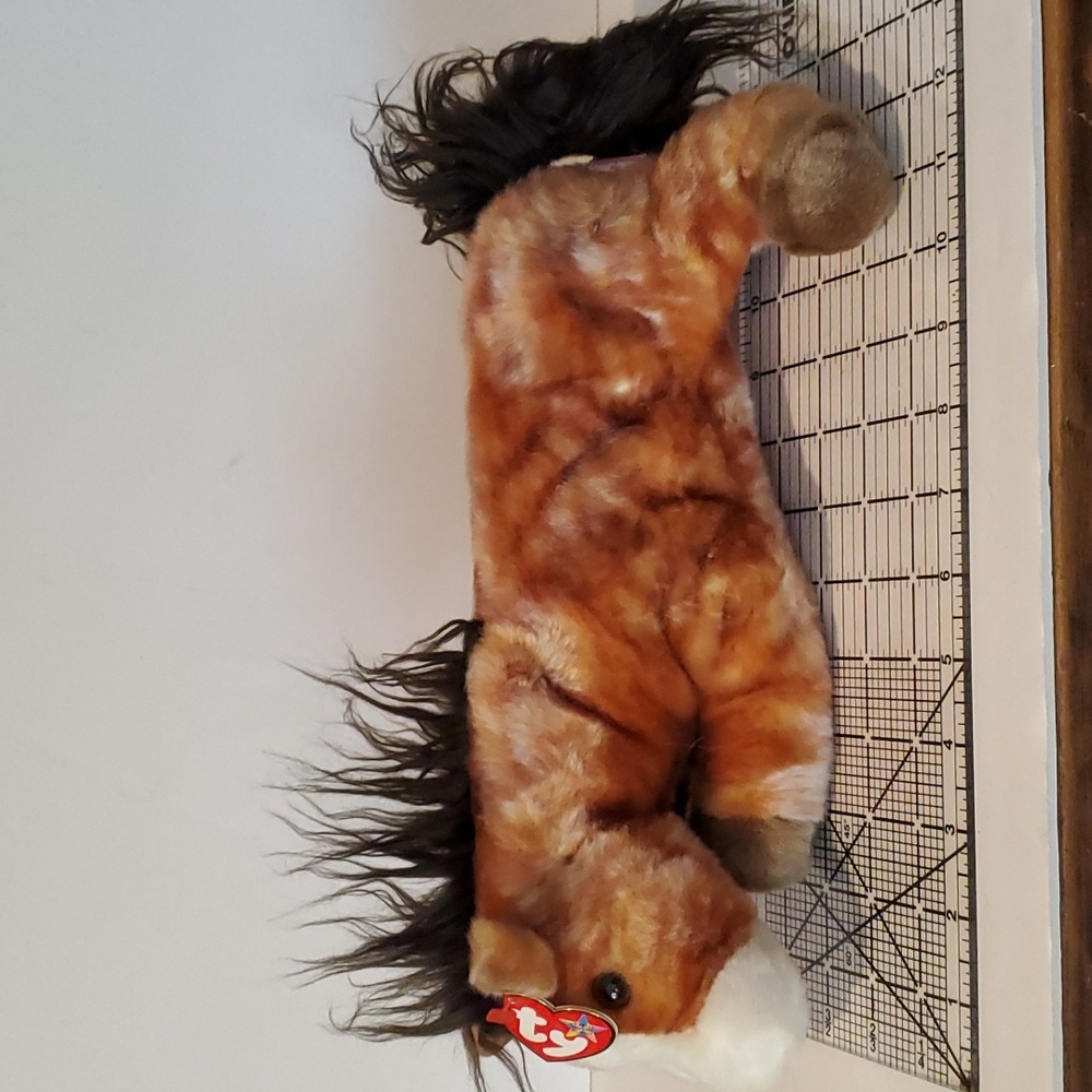 TY Oats horse